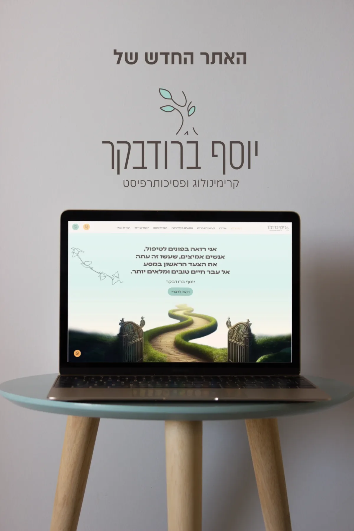 עיצוב של בוגר קורס סטייליינר (11)