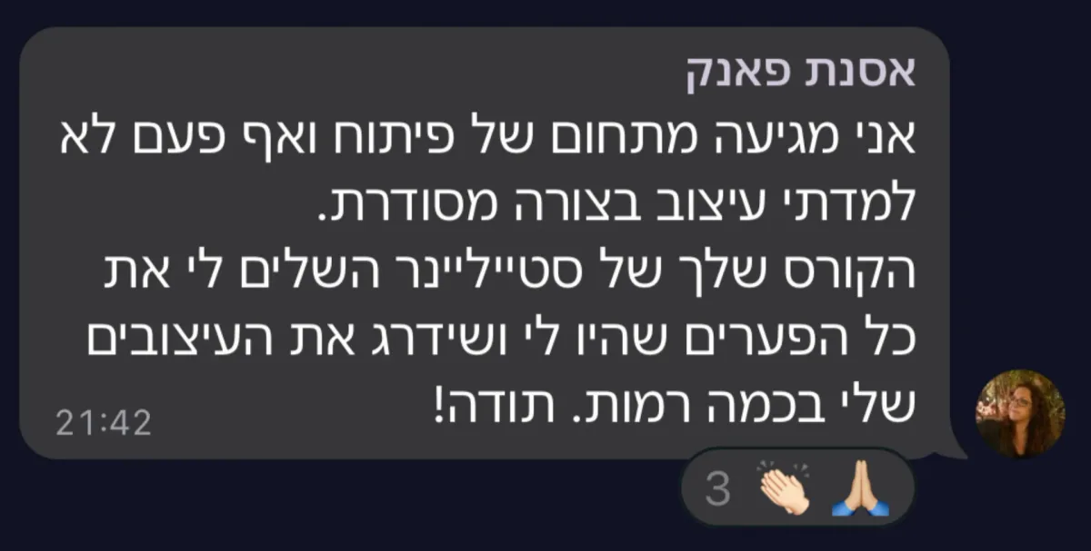 צילום מסך של הודעה מקהילת סטייליינר