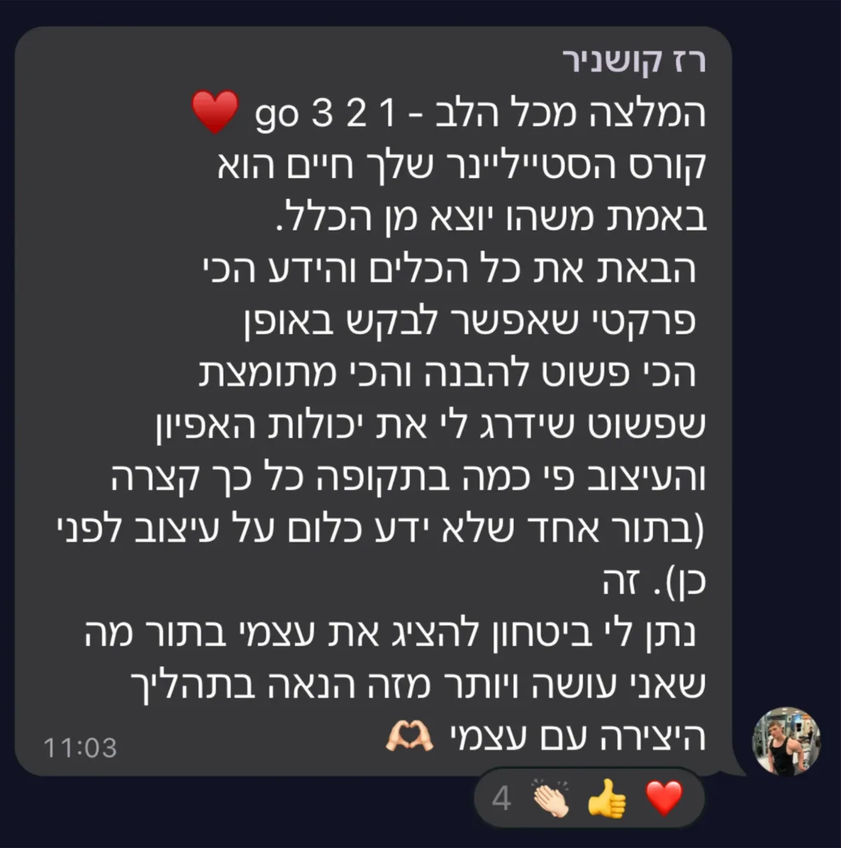 צילום מסך של הודעה מקהילת סטייליינר