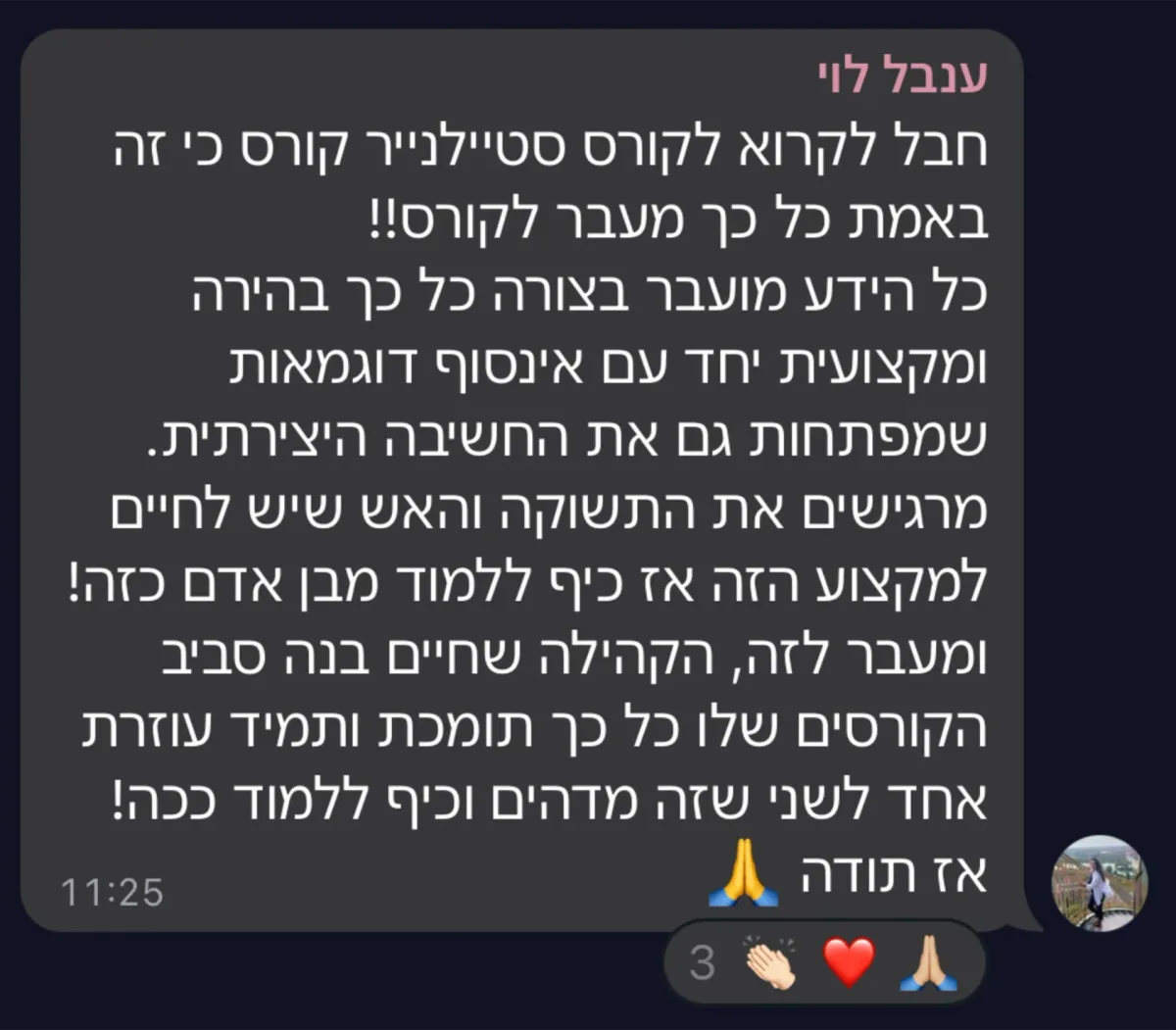 צילום מסך של הודעה מקהילת סטייליינר