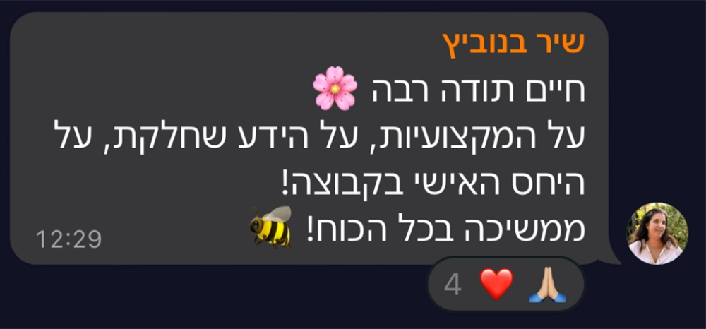 צילום מסך של הודעה מקהילת טופליינר